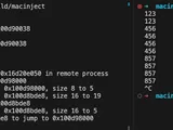 macOS code injection for fun and no profit (2024)