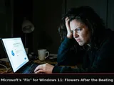Microsoft's "fix" for Windows 11