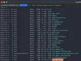 iStat Menus < 7.20.5 local privilege escalation