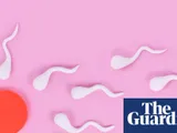 More frequent ejaculations may boost men's fertility, research suggests