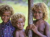 The Melanesian: Dark-skinned people with blonde hair region of Oceania