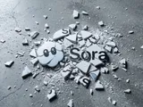 Sora: A Solution Without a Problem
